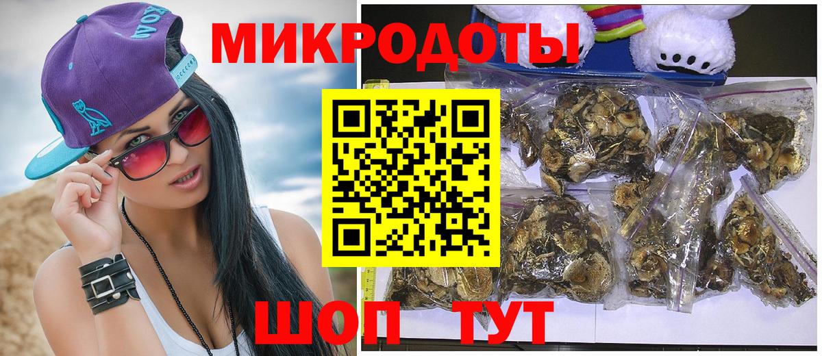 Галлюциногенные грибы Cubensis Волгоград