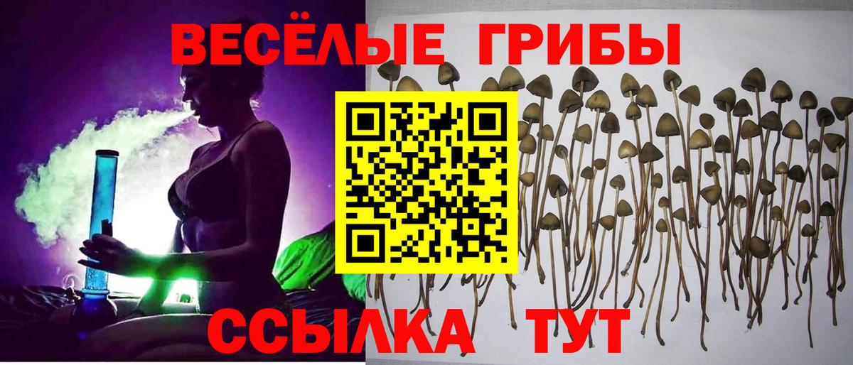 APVP Волгоград