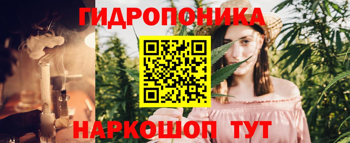 Шишки марихуана марихуана Волгоград